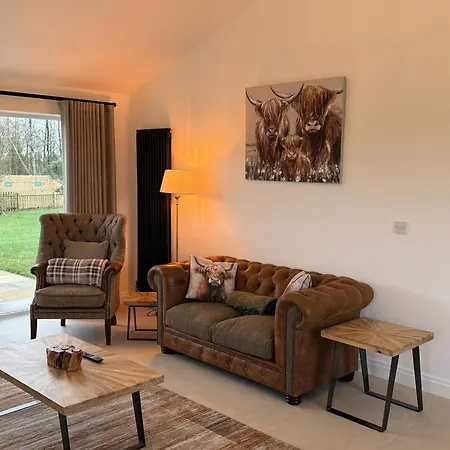 The * スキプトン