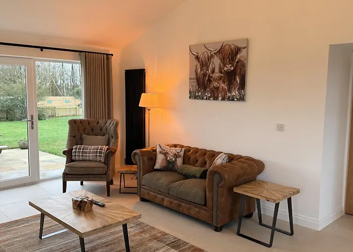 The * スキプトン